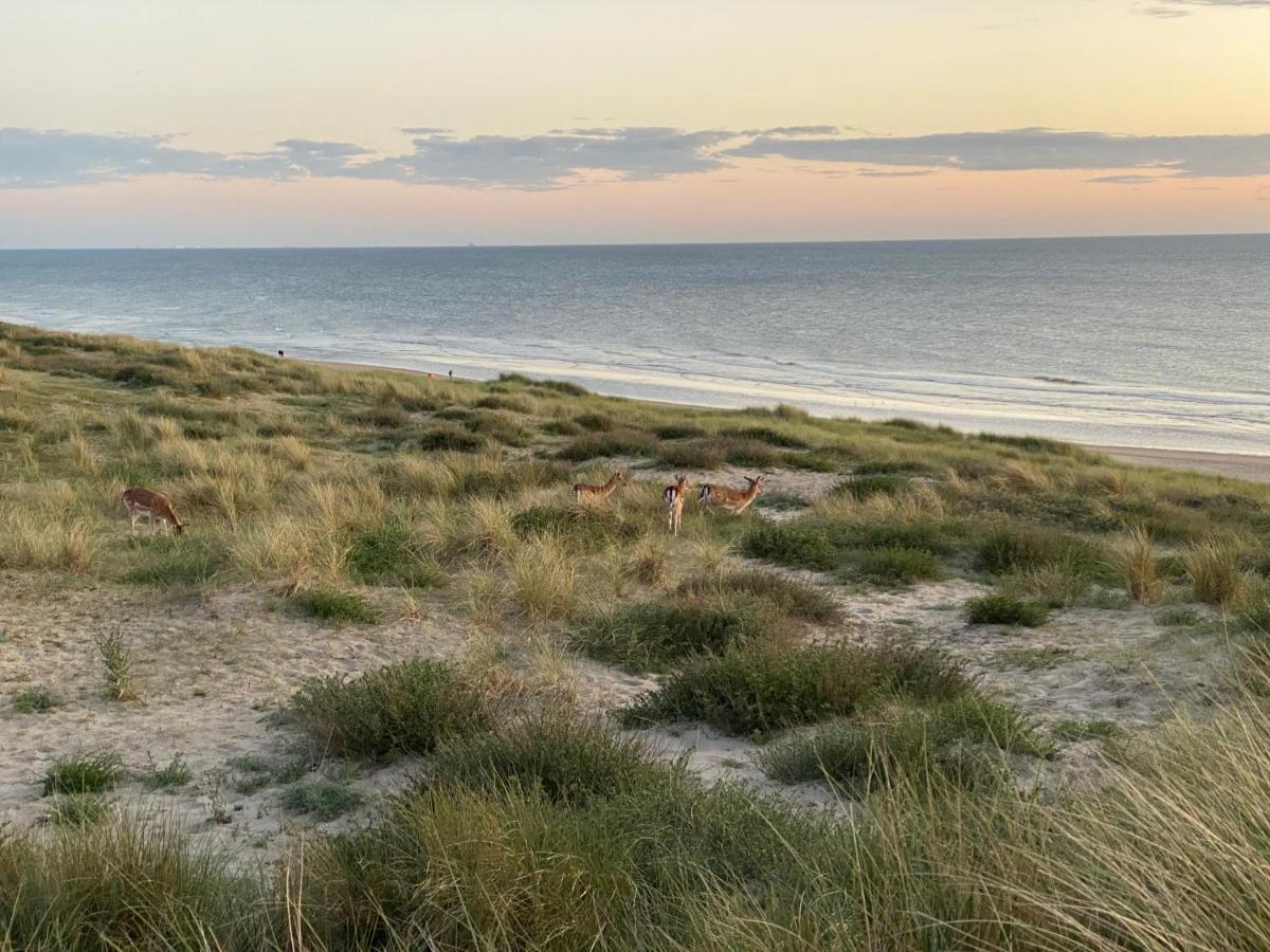 Ferienwohnung Zwarte Vis Zandvoort Exterior foto
